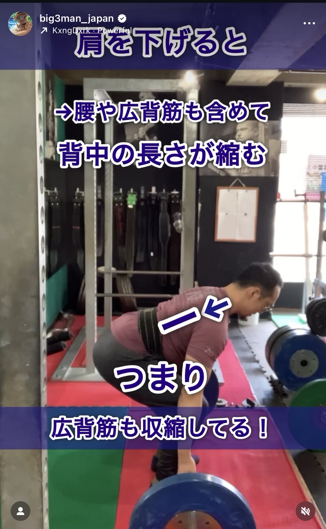 デッドリフトで引く前に肩が下がり、広背筋に張力が入った状態